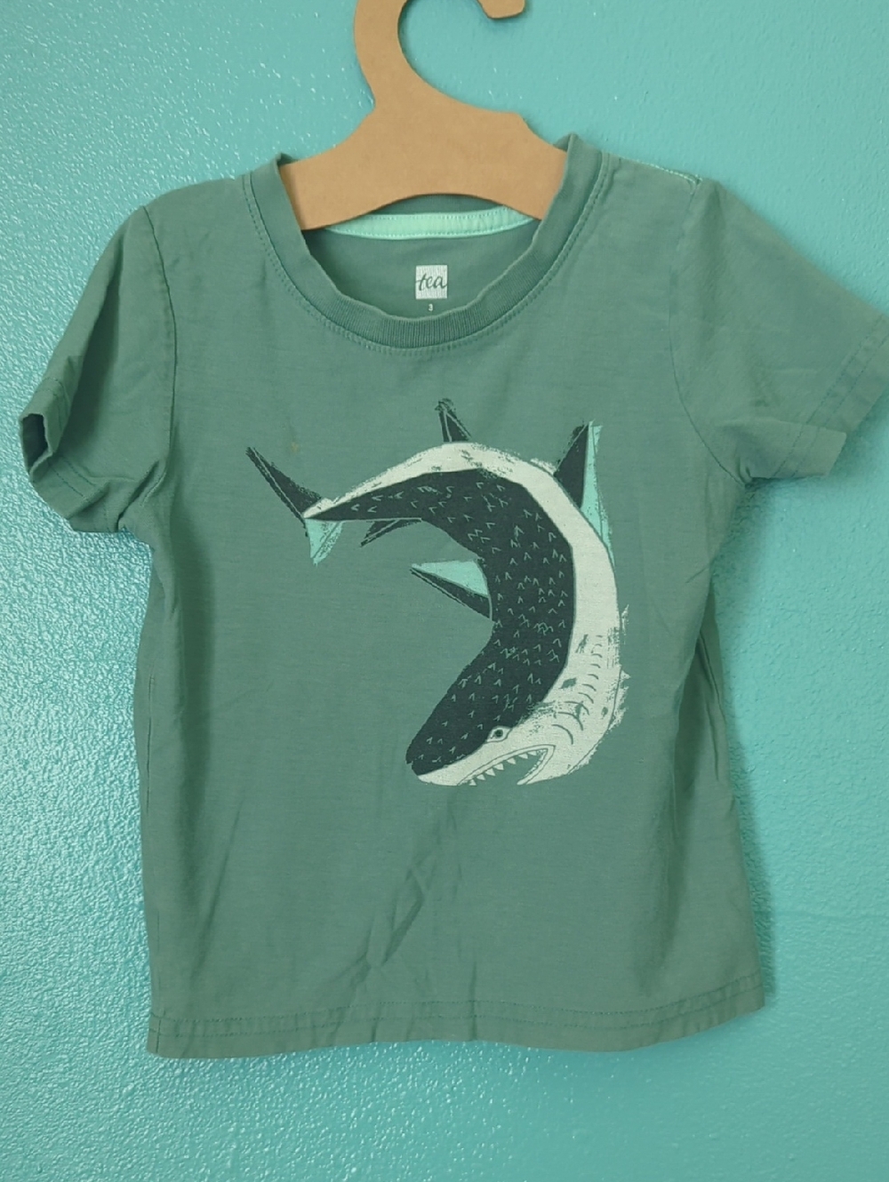 Tea Collection Seafoam Green Shark Tee